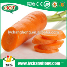 2014 Новая культура Китай Шаньдун Свежая морковь